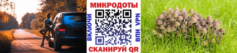 Галлюциногенные грибы мухоморы Геленджик