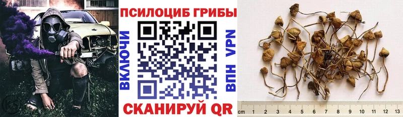 Галлюциногенные грибы GOLDEN TEACHER  Купить где  Геленджик 